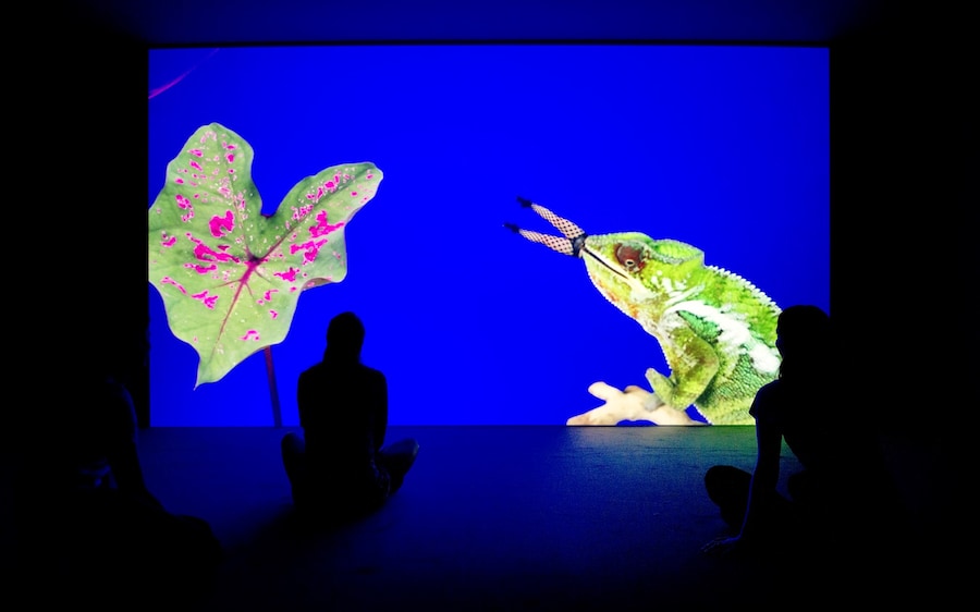 19 Jeremy Deller and Cecilia Bengolea, Bom Bom&#39;s D 18