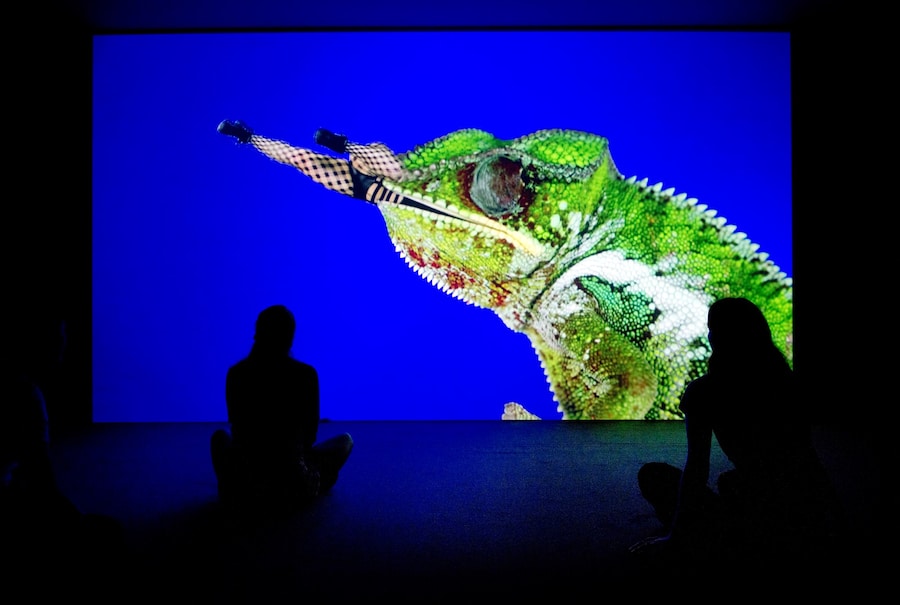 20 Jeremy Deller and Cecilia Bengolea, Bom Bom&#39;s D 19