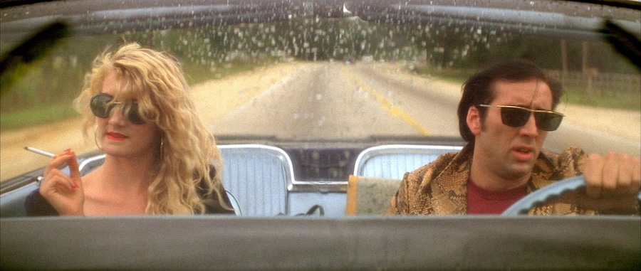 Wild at Heart 0