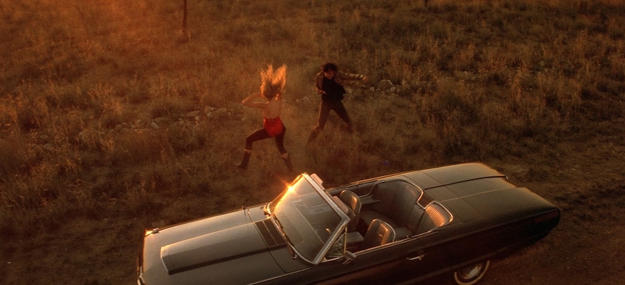 Wild at Heart 4