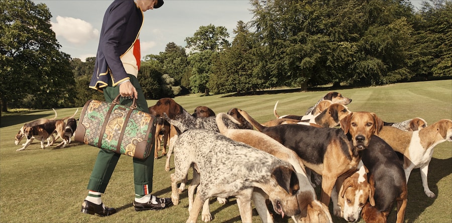 Gucci Cruise 2017 Ad Campaign Dazed 14
