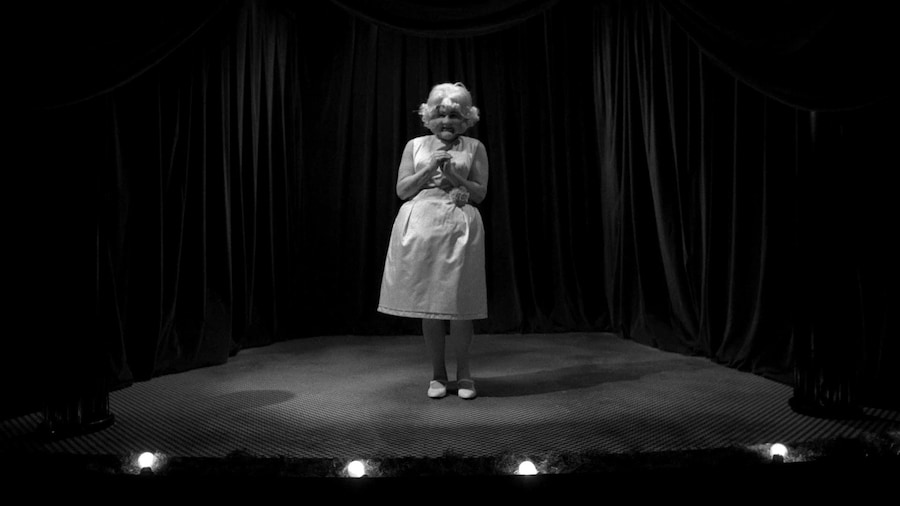 Radiator Lady 5