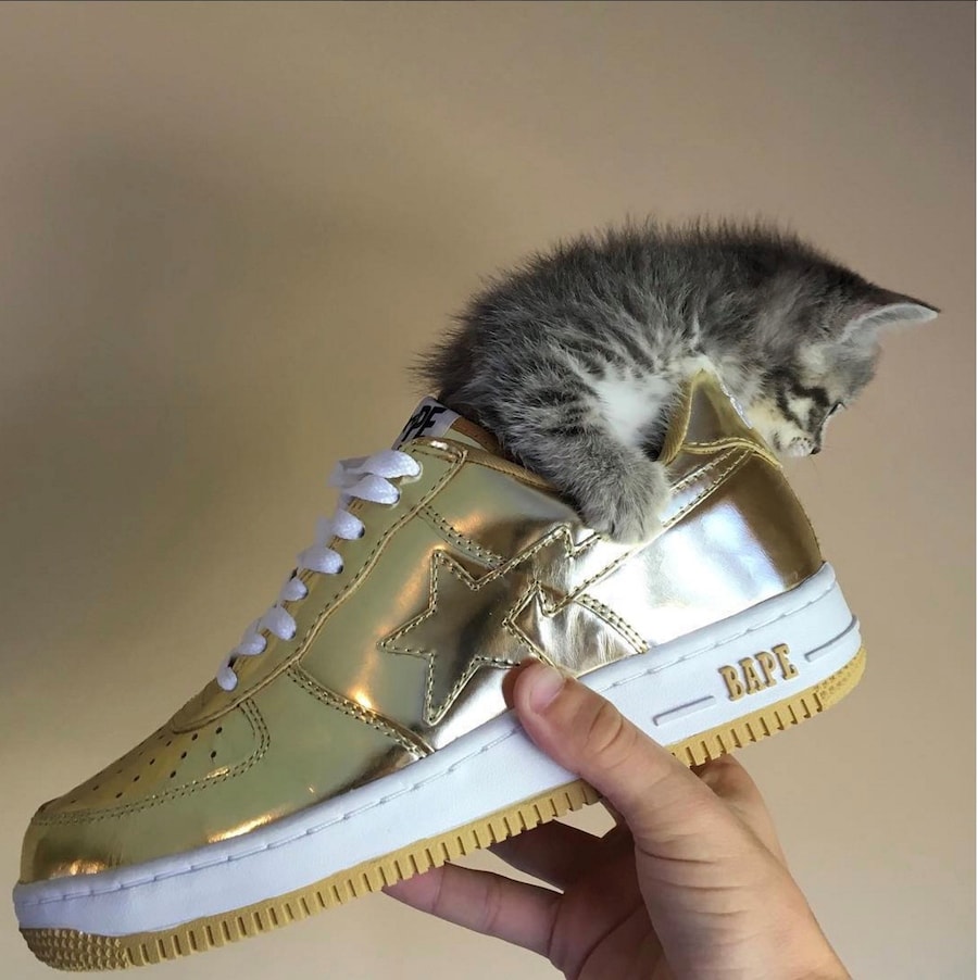 @rafthecat Raf The Cat Instagram streetwear 3