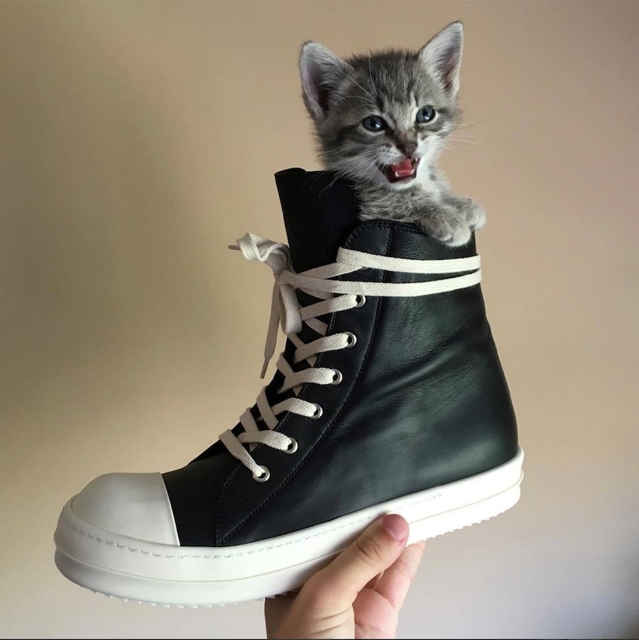 @rafthecat Raf The Cat Instagram streetwear 6