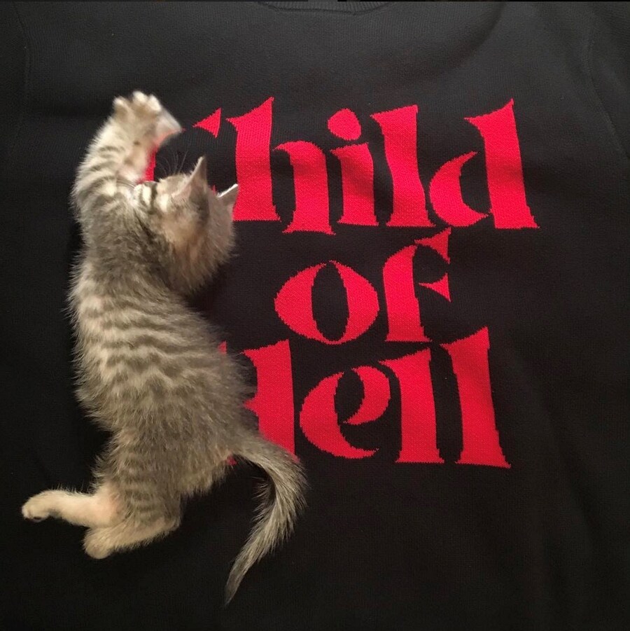 @rafthecat Raf The Cat Instagram streetwear 2