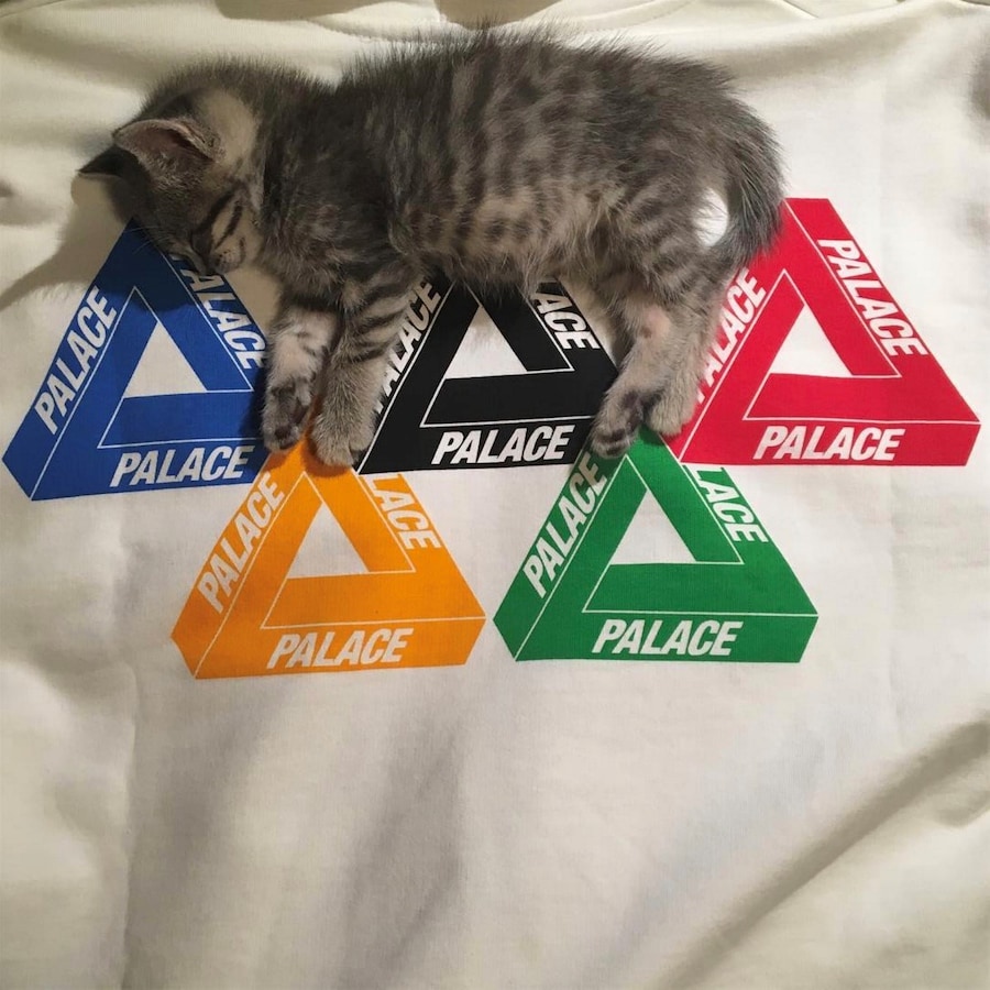 @rafthecat Raf The Cat Instagram streetwear 4