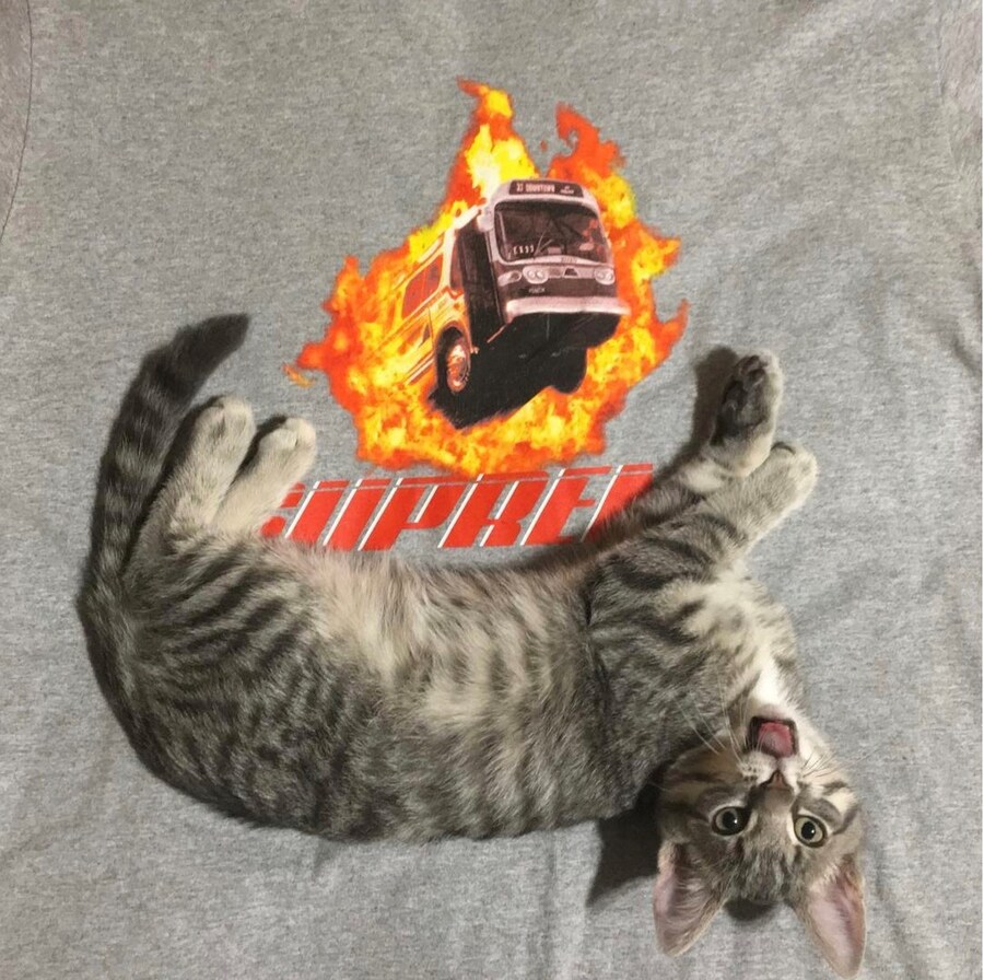 @rafthecat Raf The Cat Instagram streetwear 10