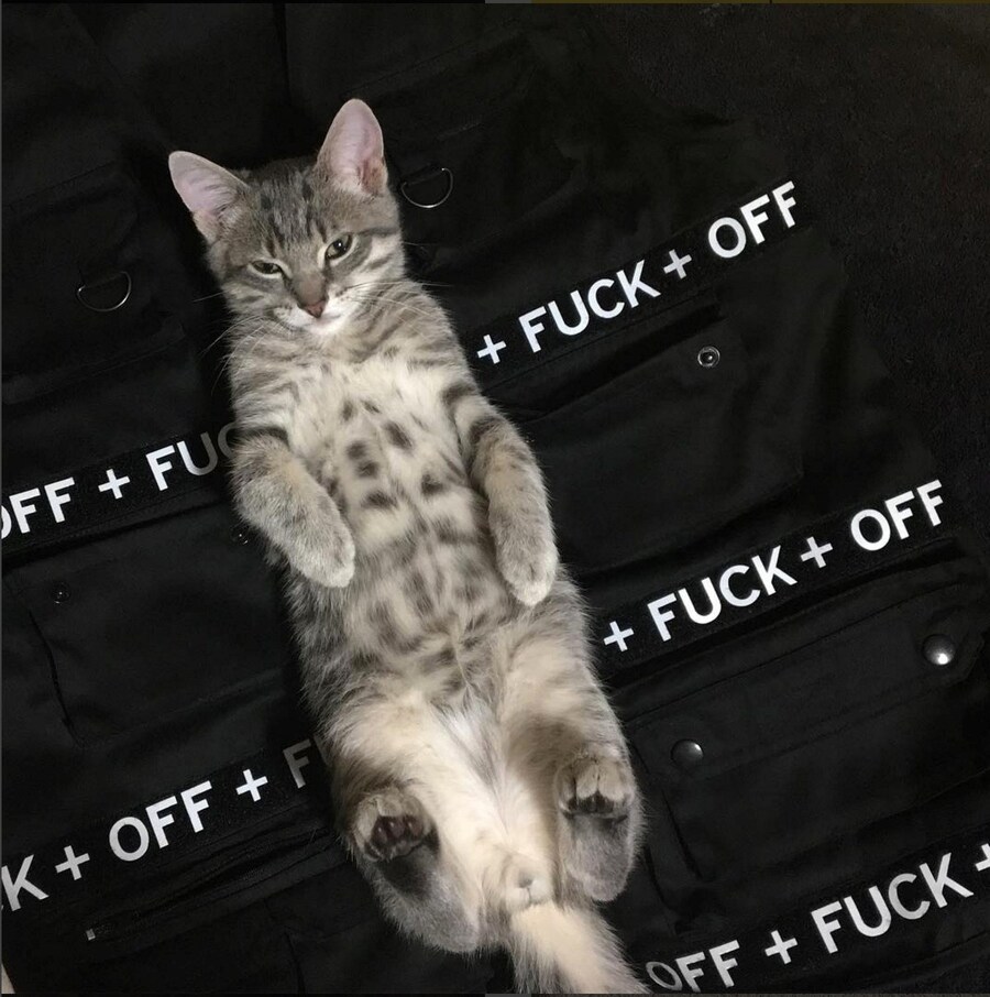 @rafthecat Raf The Cat Instagram streetwear 11