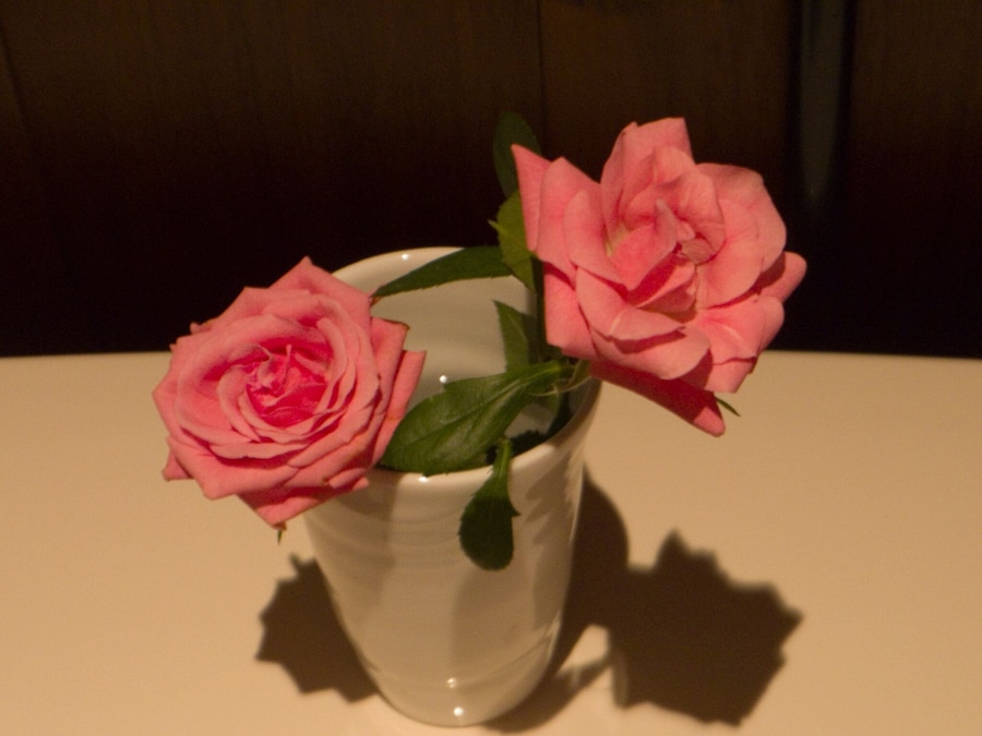 Nobuyoshi Araki 9