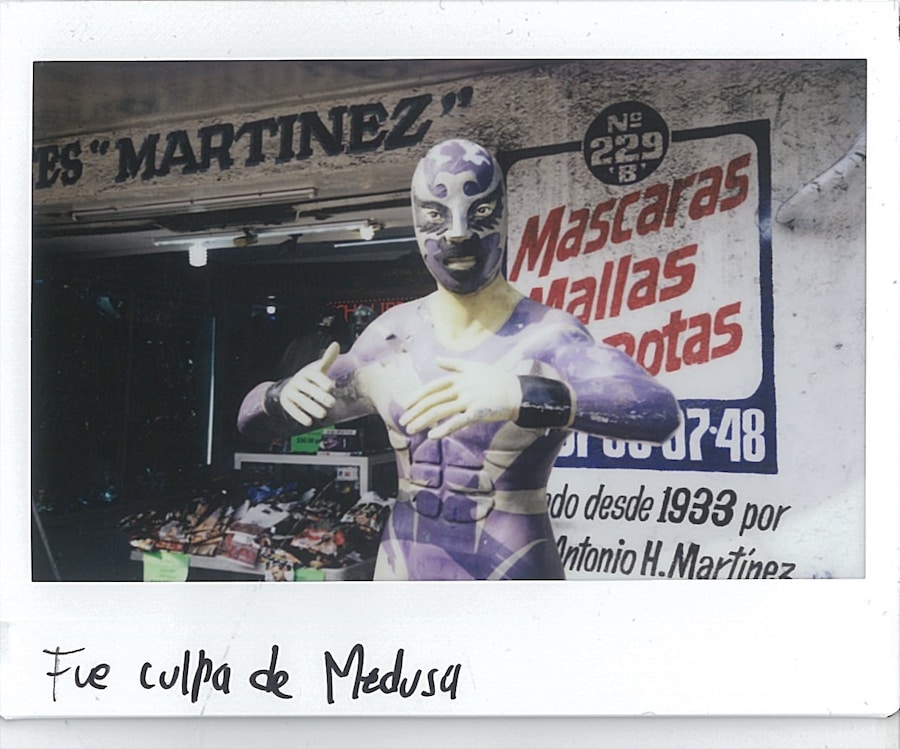 Colonia Juarez 24