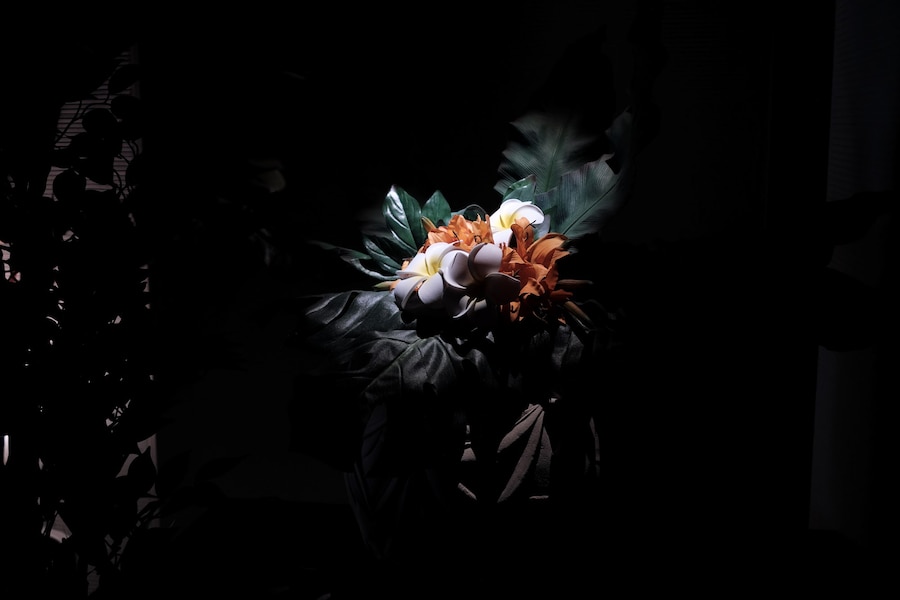 Zaza Bertrand’s Japanese Whispers 13