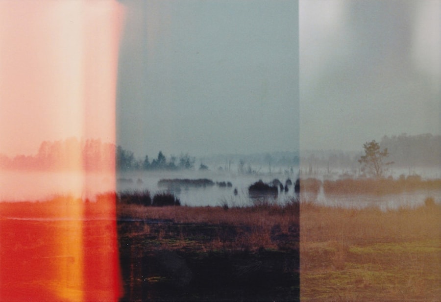 If You Leave 2016 showcase 0