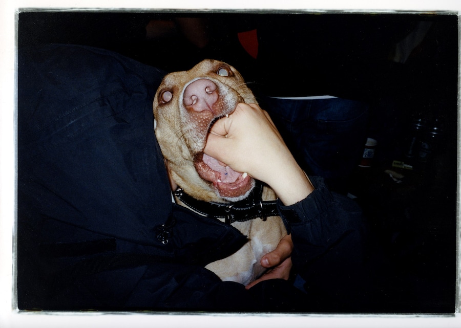 Tom Beard photography 5