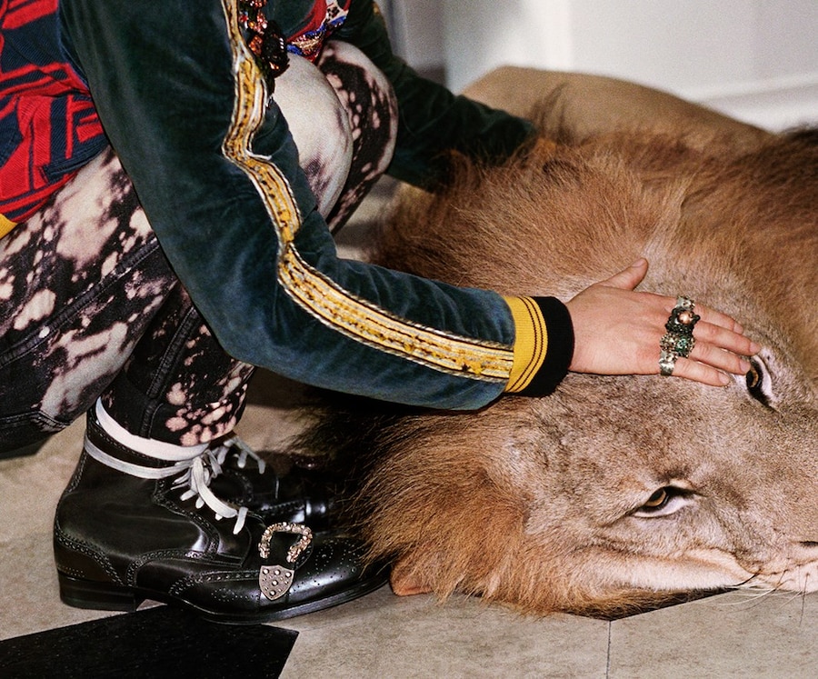 Gucci SS17 campaign Glen Luchford Alessandro Michele 12
