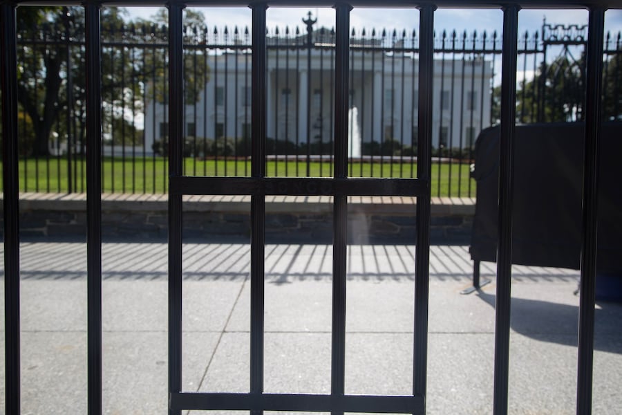 Nona Faustine’s My Country 6