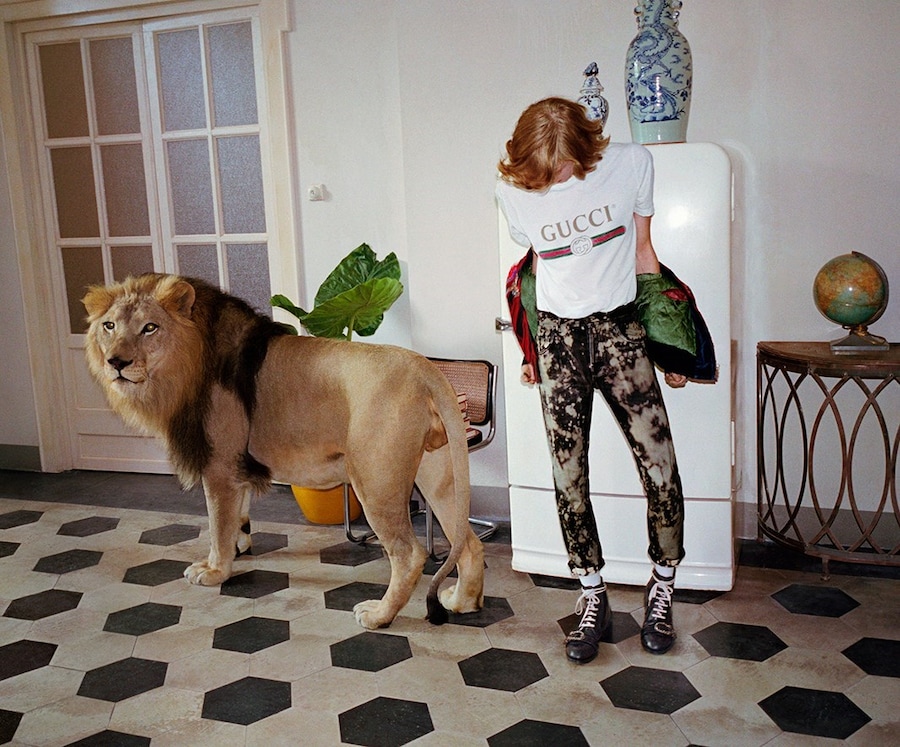 Gucci SS17 campaign lion Glen Luchford Alessandro Michele 4