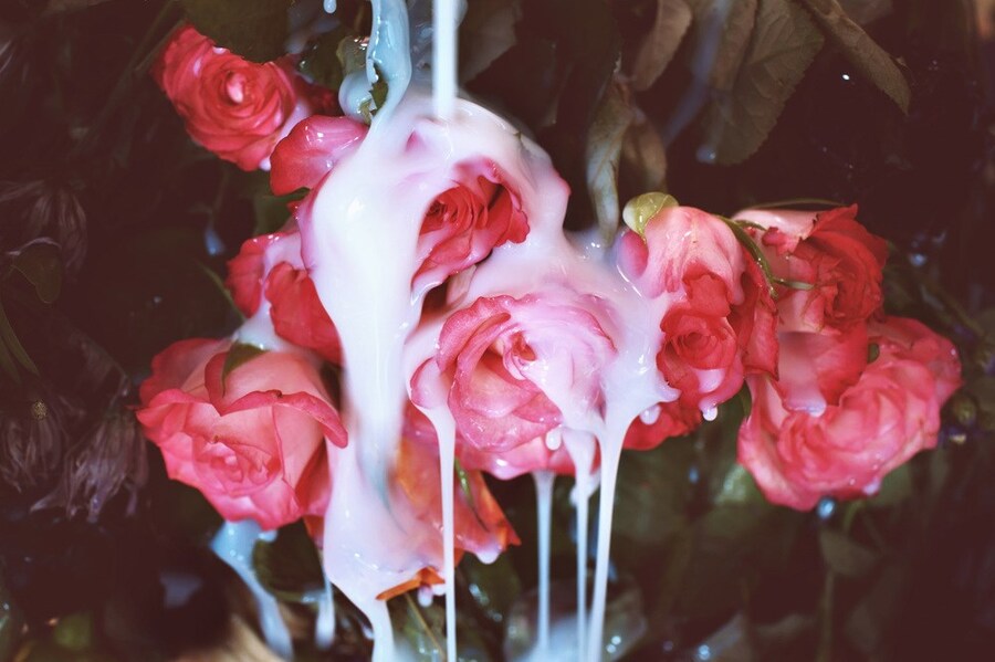 DSC04450-darkfilm-PRINT_1000 4