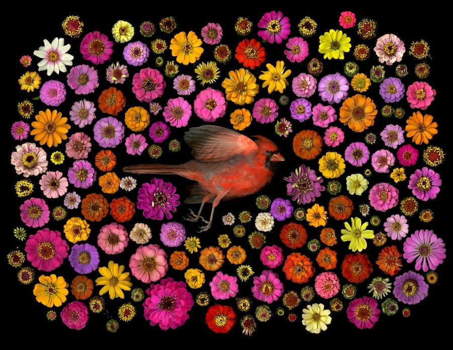 Portia Munson, The Garden, 2017, Dazed 23