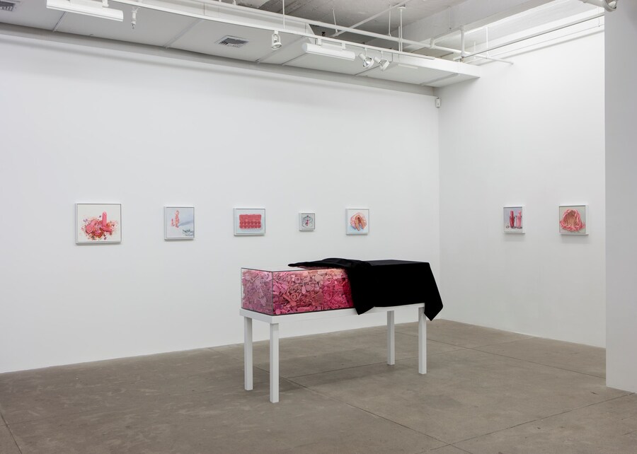 Portia Munson, The Garden, 2017, Dazed 3