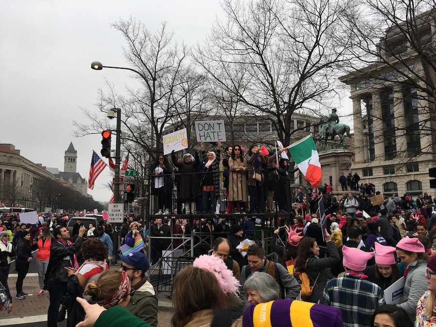 Women’s March Washington D.C protest 0