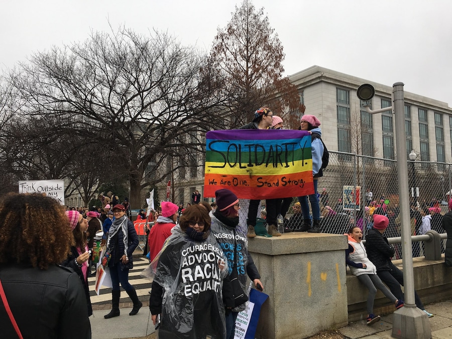 Women’s March Washington D.C protest 1