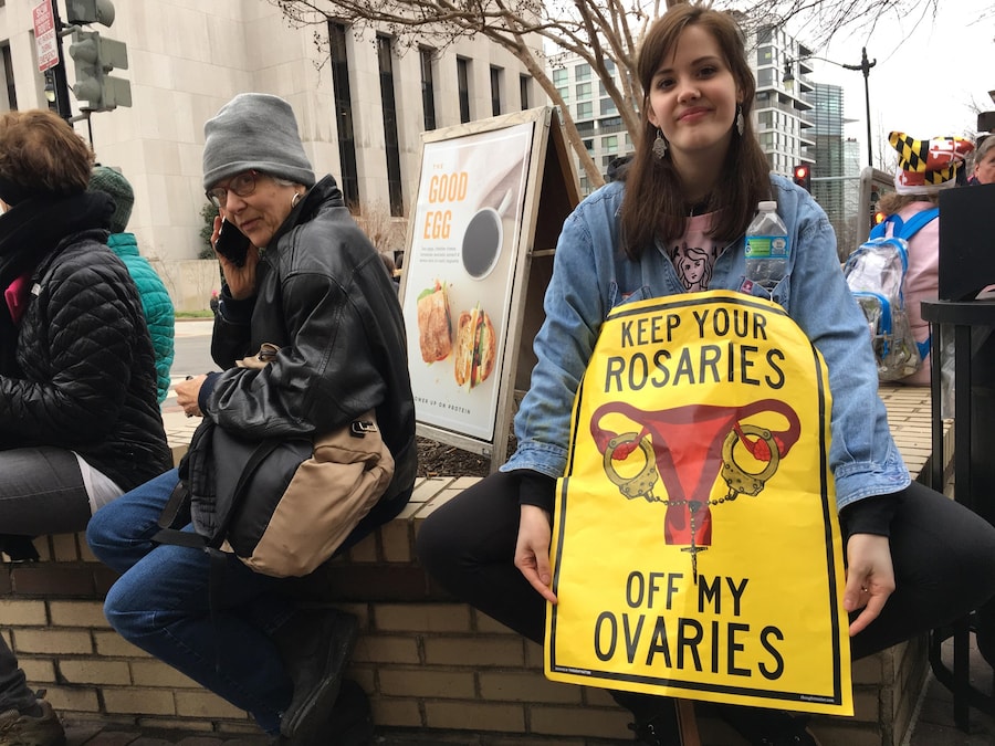 Women’s March Washington D.C protest 7