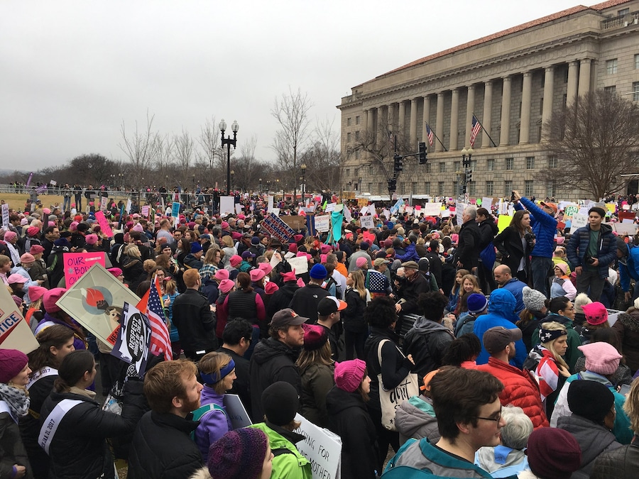 Women’s March Washington D.C protest 8