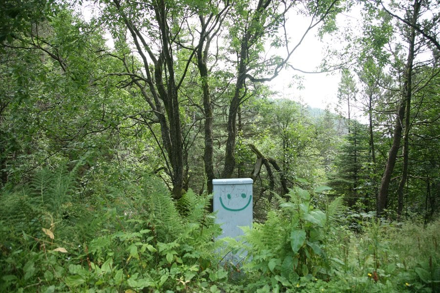 Image 6