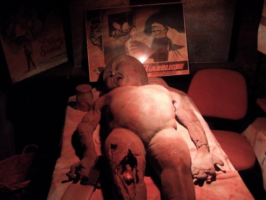Image 7