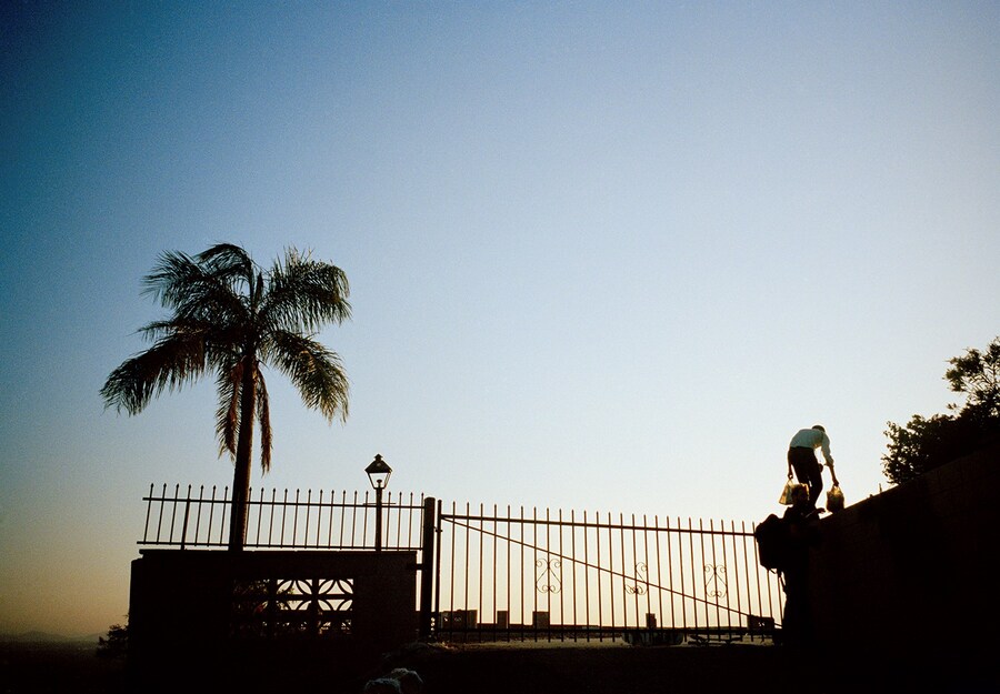 Tino Razo’s Party In The Back exclusive 10