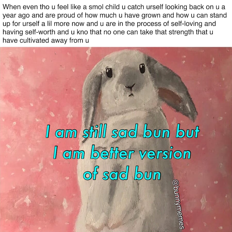 by any memes neccessary 1