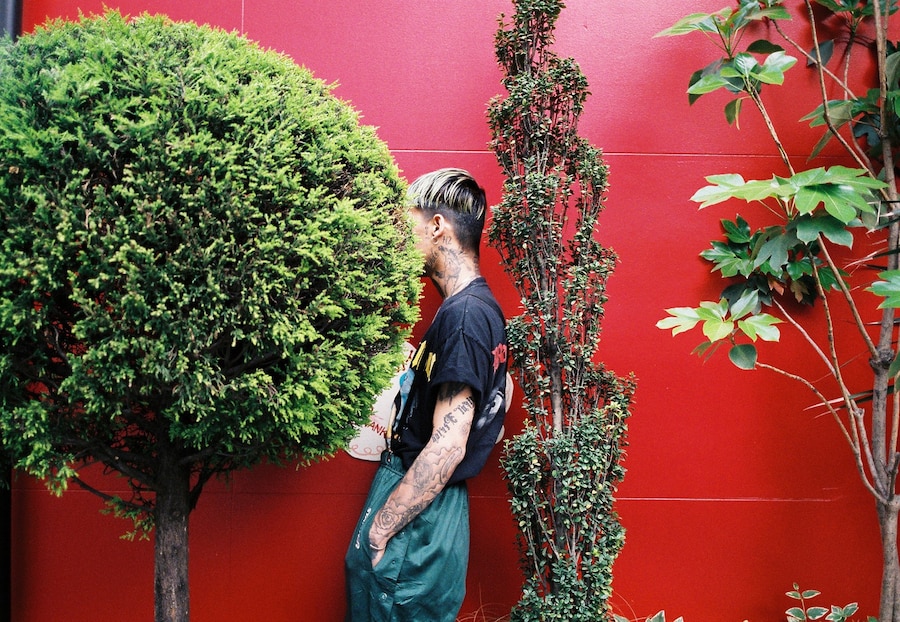 Kohh 8