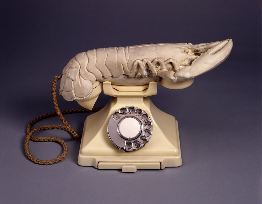 Imagination and Daring: Dal&#237; and Schiaparelli 1