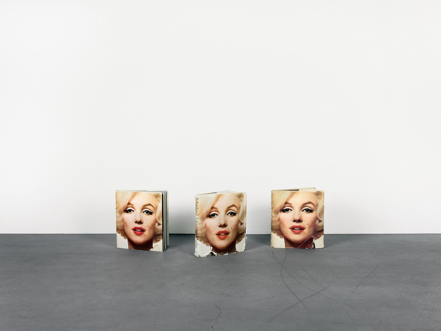 Anne Collier, Double Take 0