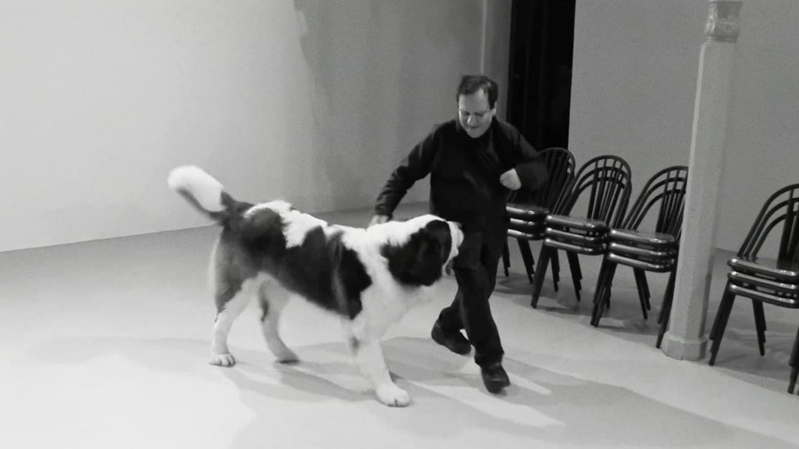 Azzedine Ala&#239;a didine dog fashion 