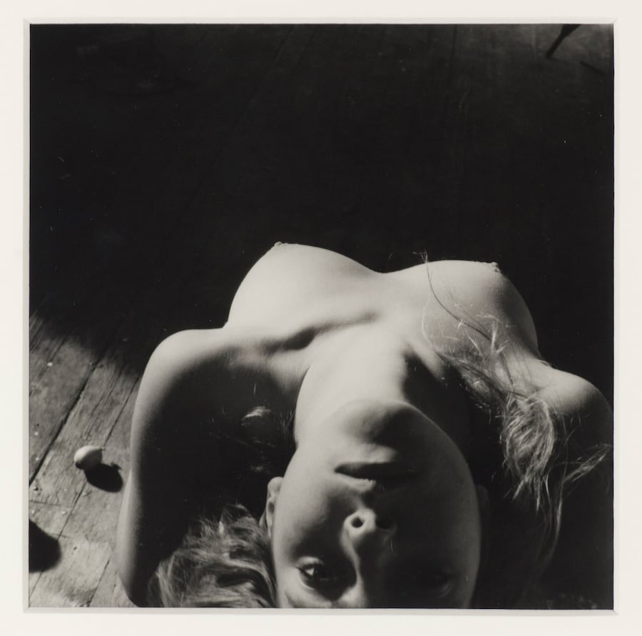 Eternal Youth, MCA 2017 0