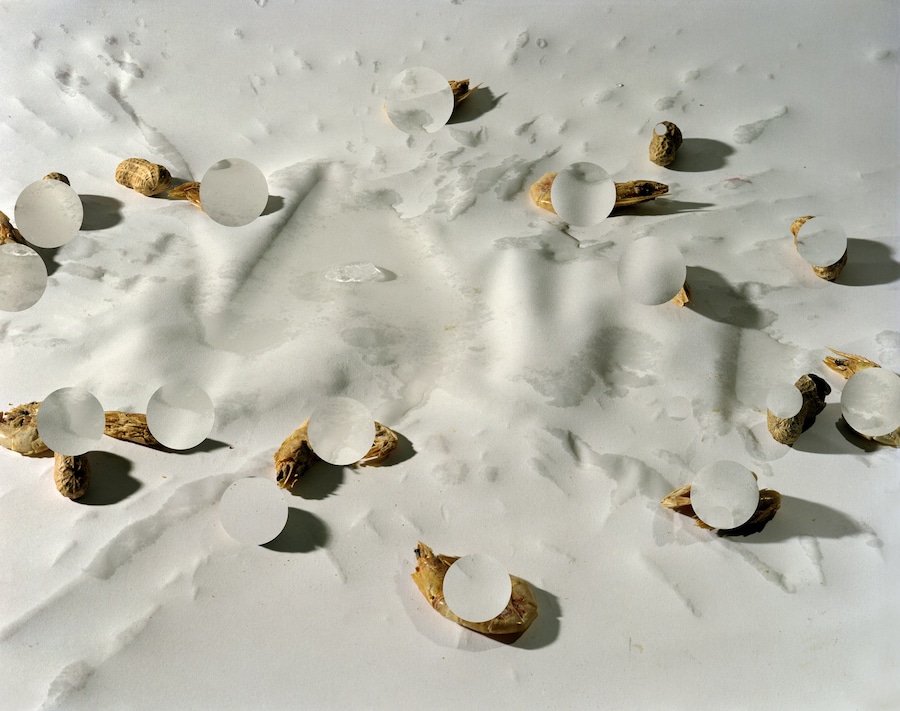 Lucas Blalock, Untitled Study, 2011 8