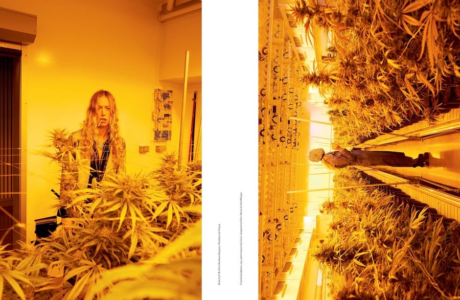 SYSTEM9_MarleyNaturalSupplement-2 1