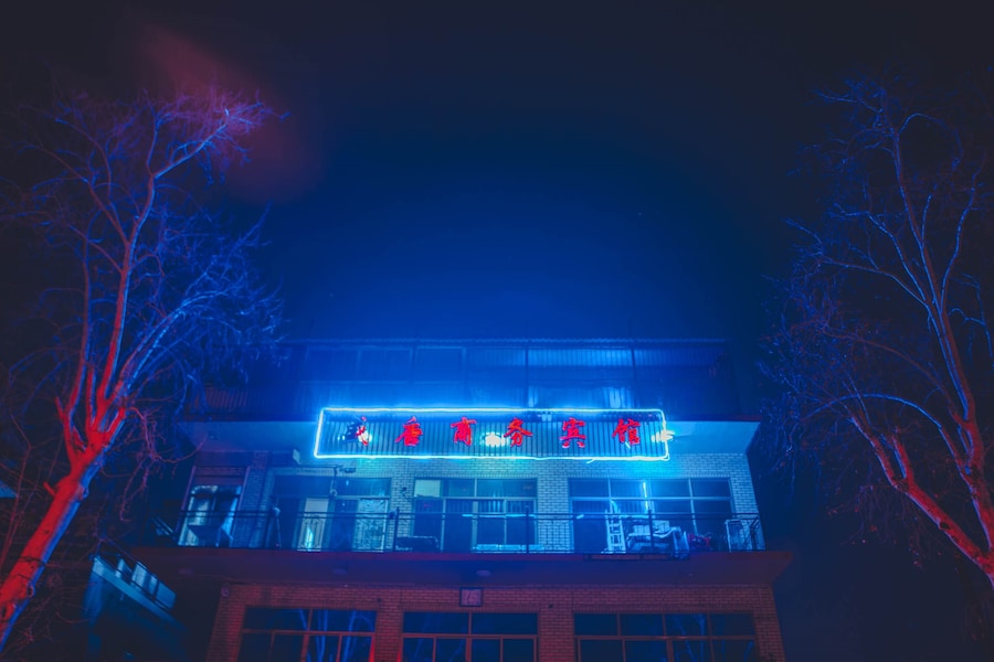 Elsa Bleda’s Jo’burg 7