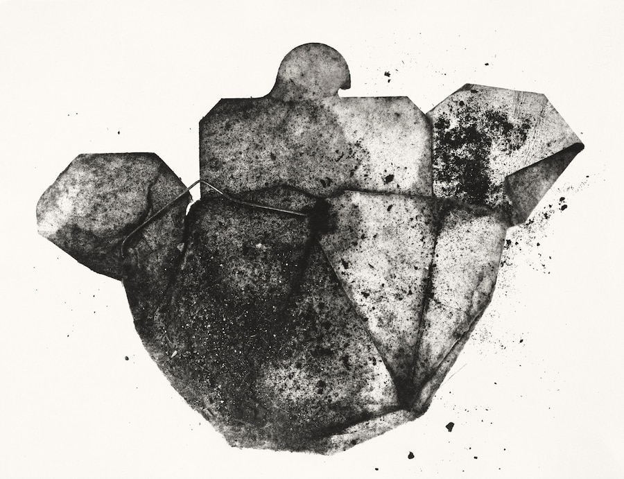 Irving Penn: Centennial 10