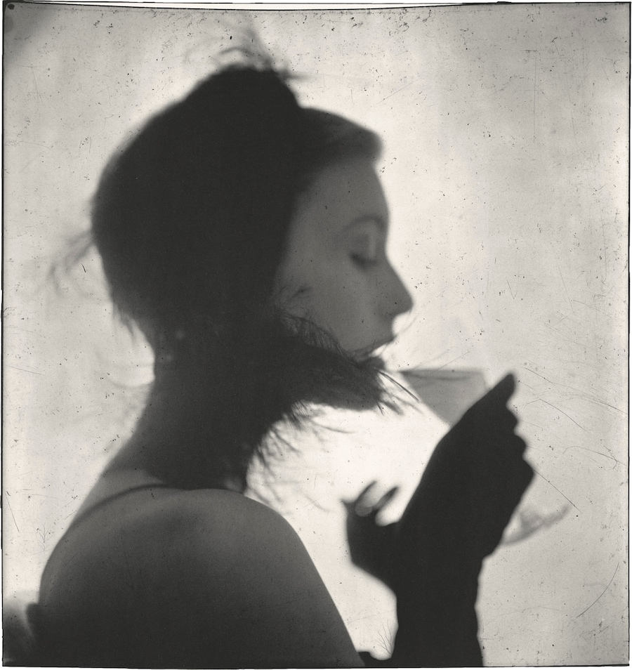 Irving Penn: Centennial | Dazed