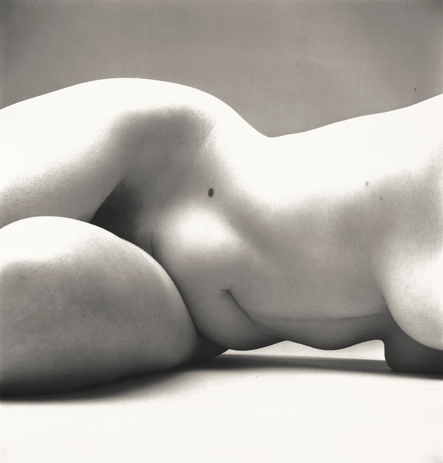 Irving Penn: Centennial 15