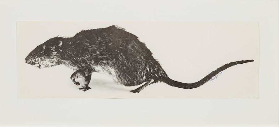 Larry Clark’s White Trash 0
