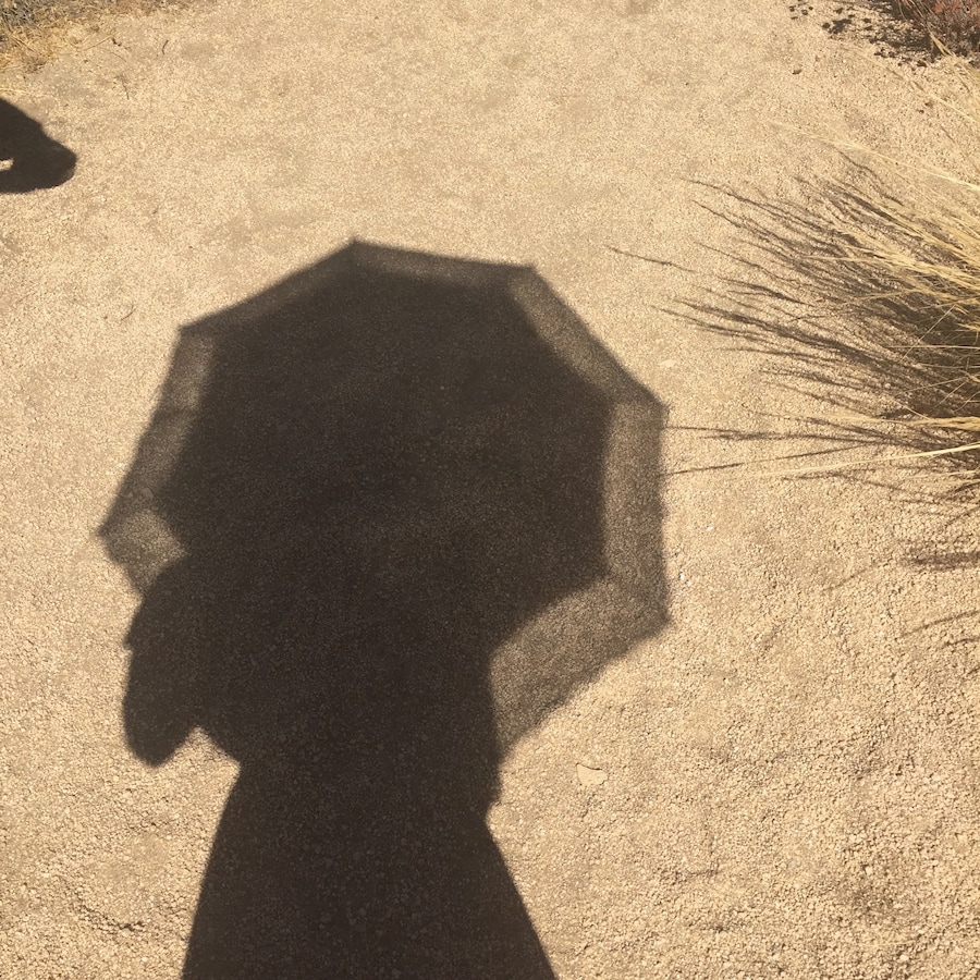 Joshua Tree_Lily Stewart_4 8