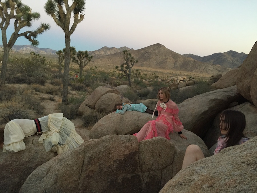 Joshua Tree_Natalie Ziering_15 6
