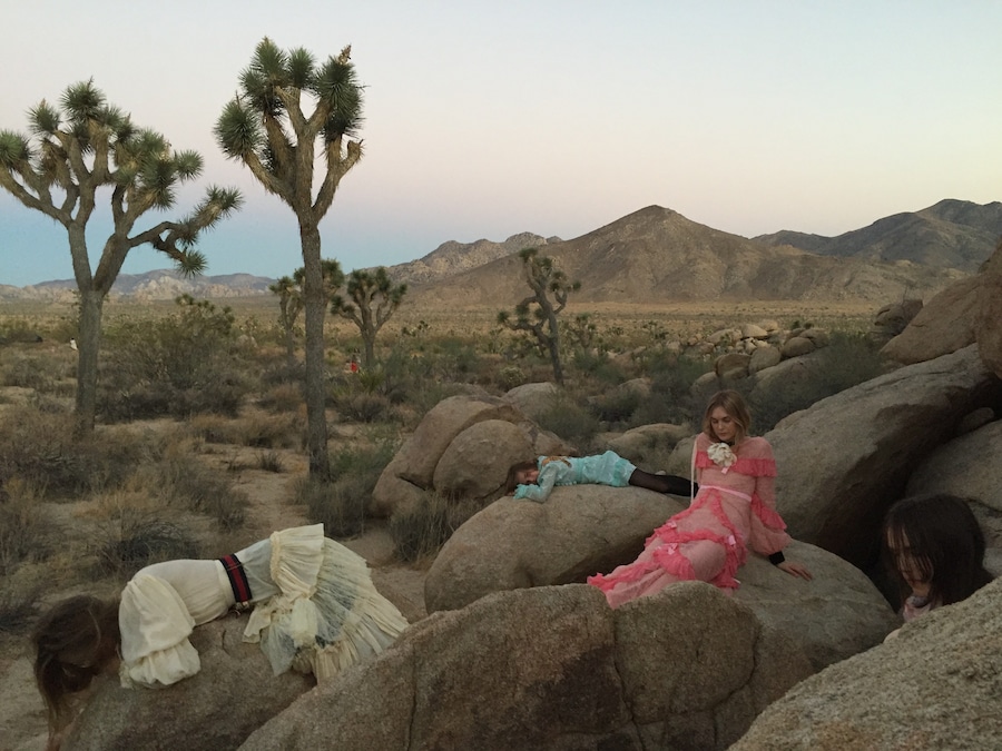 Joshua Tree_Natalie Ziering_16 17