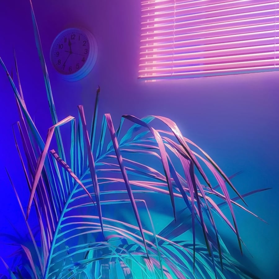 Signe Pierce’s Faux Realities 4