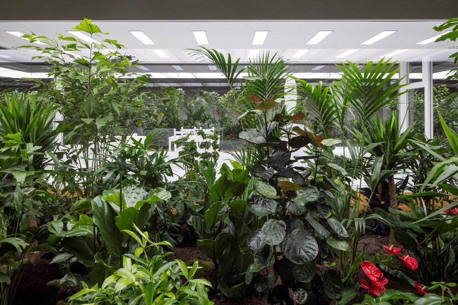 Doug Aitken’s “The Garden” 7