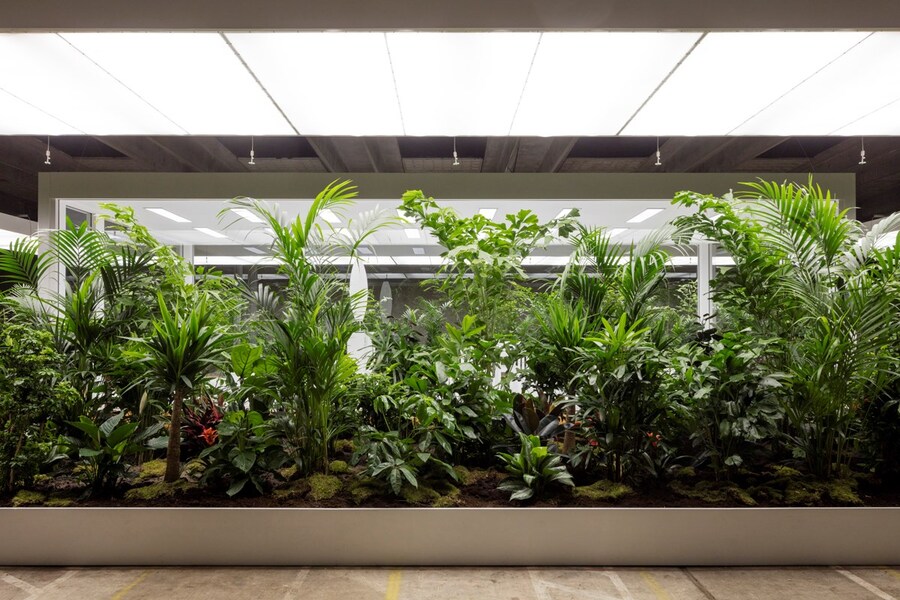 Doug Aitken’s “The Garden” 10