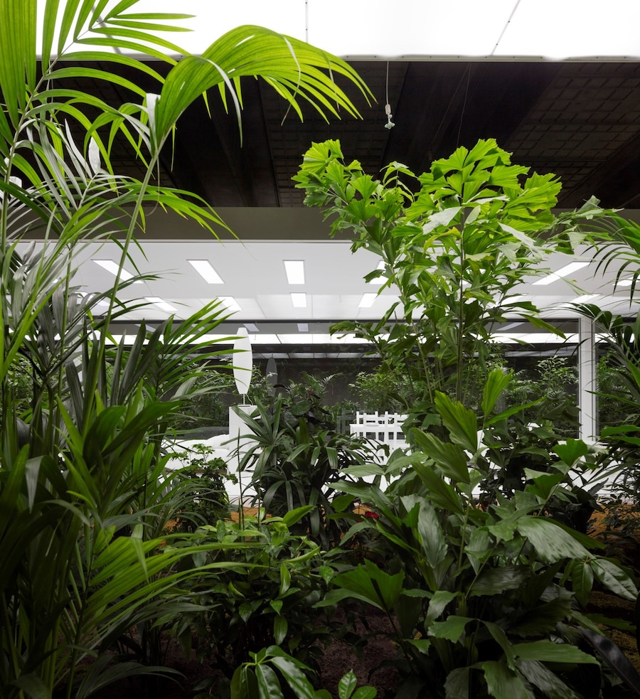 Doug Aitken’s “The Garden” 11